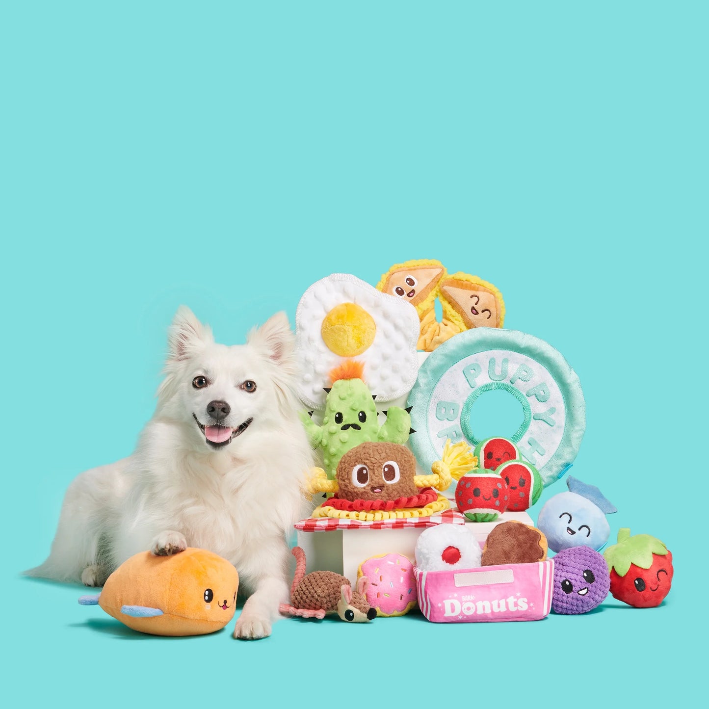 Prickly Pete Dog Toy