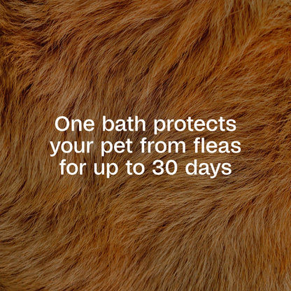 Flea & Tick Cleansing Shampoo for Dogs, Cats, Puppies & Kittens - 12 Fl Oz