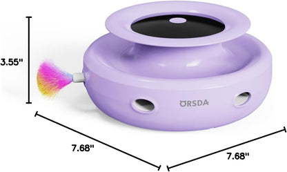 2-In-1 Interactive Cat Toy for Indoor Cats