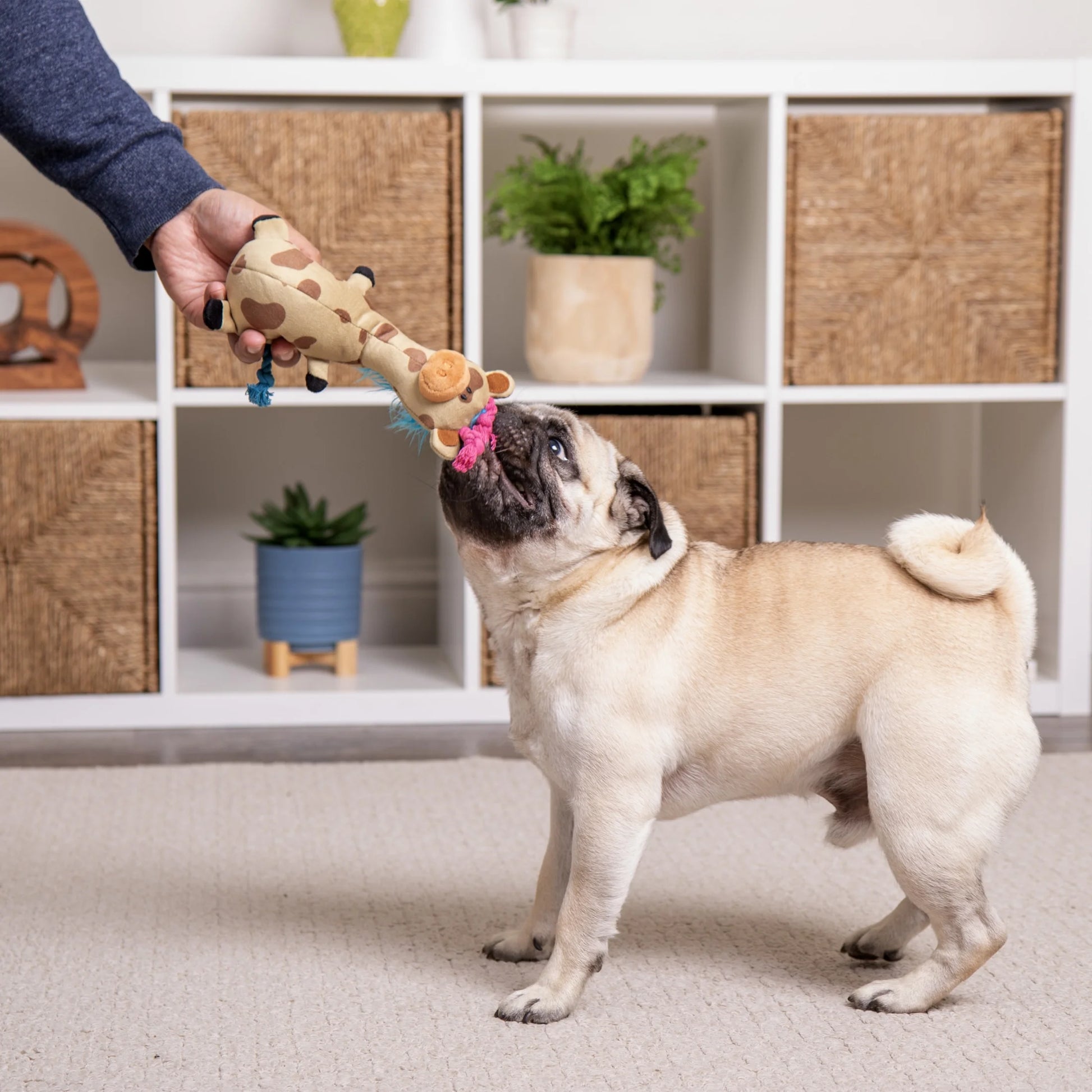 Tough 'N Fun Long Neck Giraffe Squeaky  Dog Toy