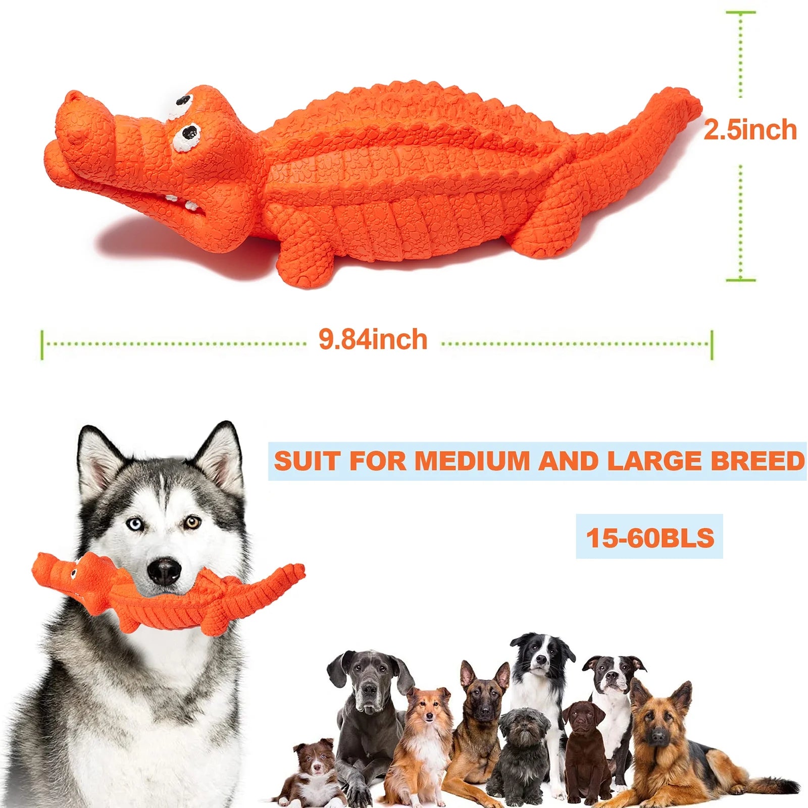 Chew Crocodile Toy - Teeth Cleaning for Medium, Large Dogs