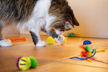 24 Piece Value Pack - Cat Toys