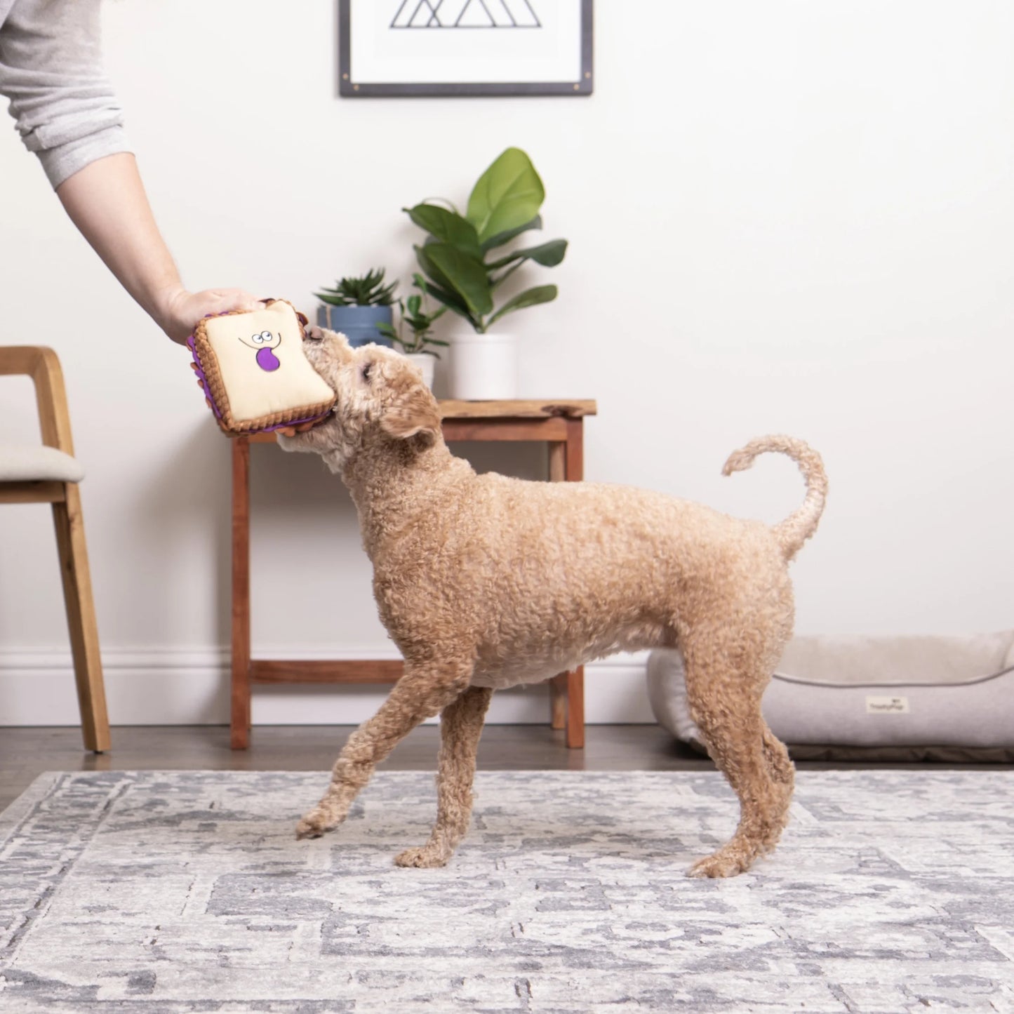 PB&J Squeaky Plush Chew Guard Dog Toy