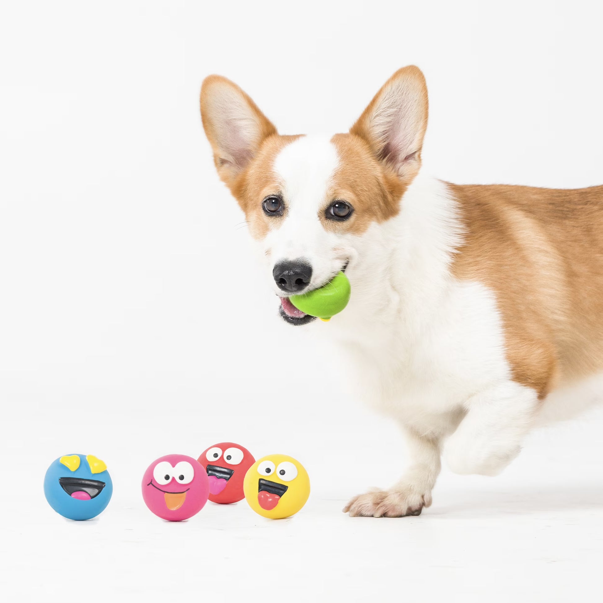 5Pk EMOTICON LATEX DOG TOY