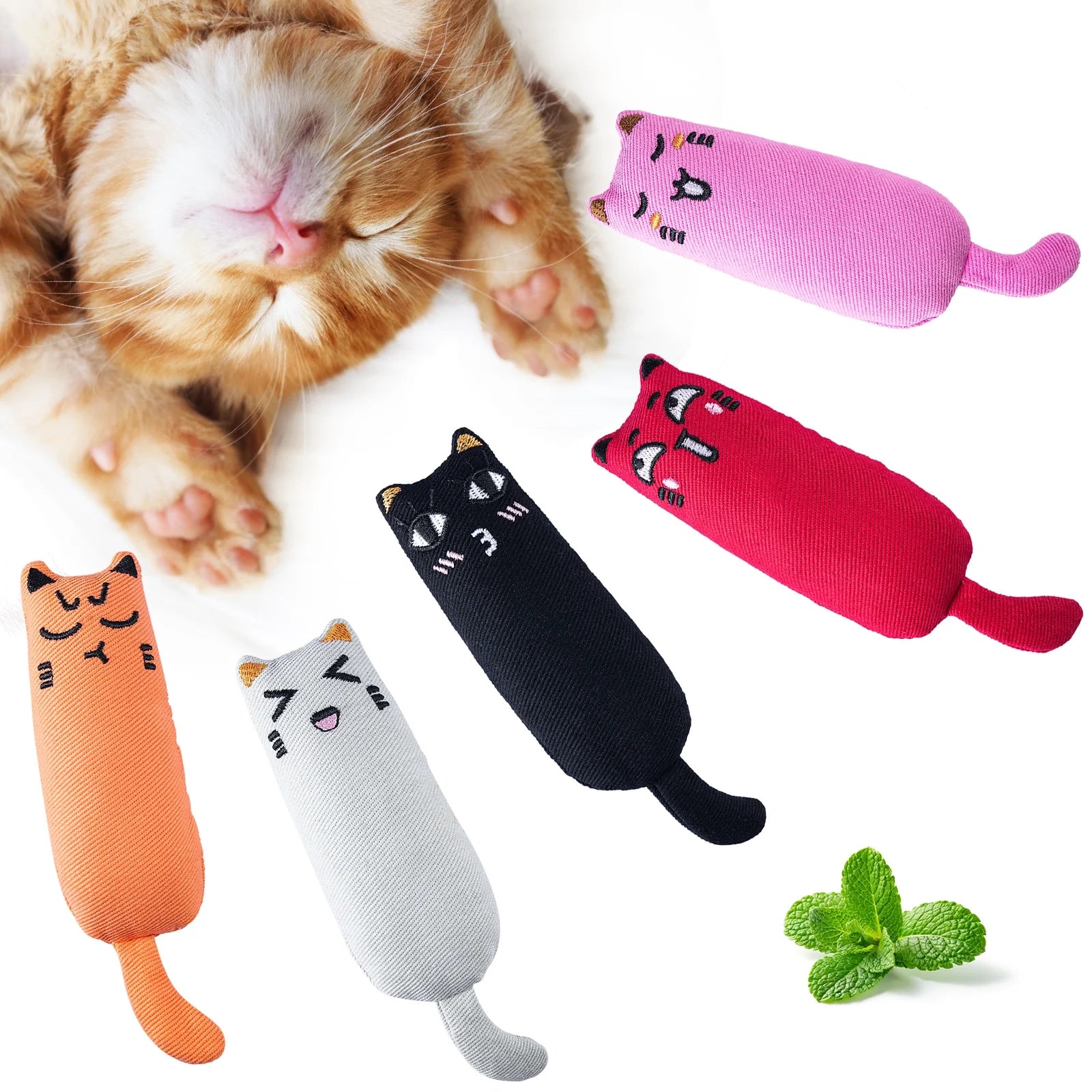 5PC Chew Toys with Catnip 