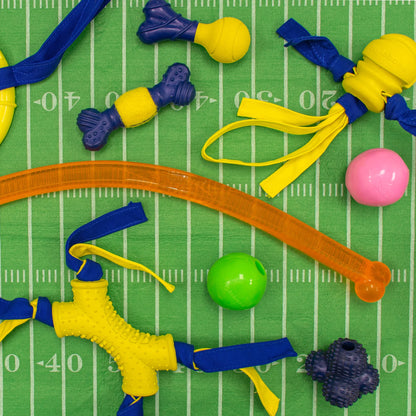 Power Play Crazy-Ball Dog Toy,  Large