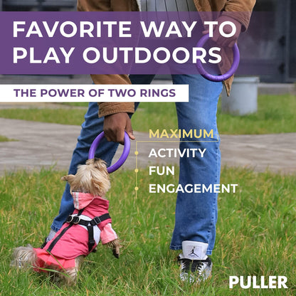 Outdoor Ring Toys - 2 Rings for Small Dogs Purple