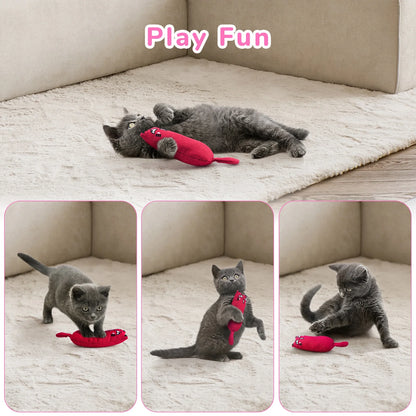 5PC Chew Toys with Catnip 