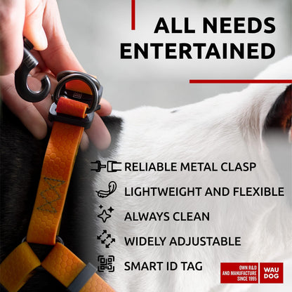 Waterproof Adjustable Dog Harness for Large, Medium, and Small Dogs - Heavy Duty with Durable Metal Clasp and QR Dog Tag Orange (16-22in)
