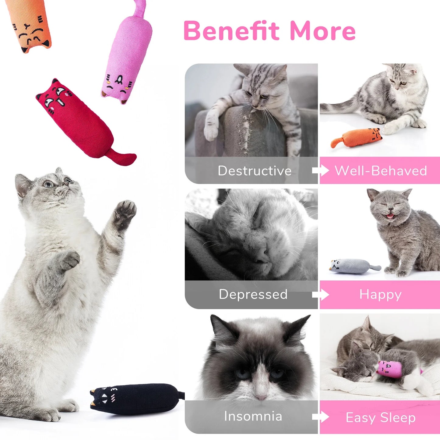 5PC Chew Toys with Catnip 
