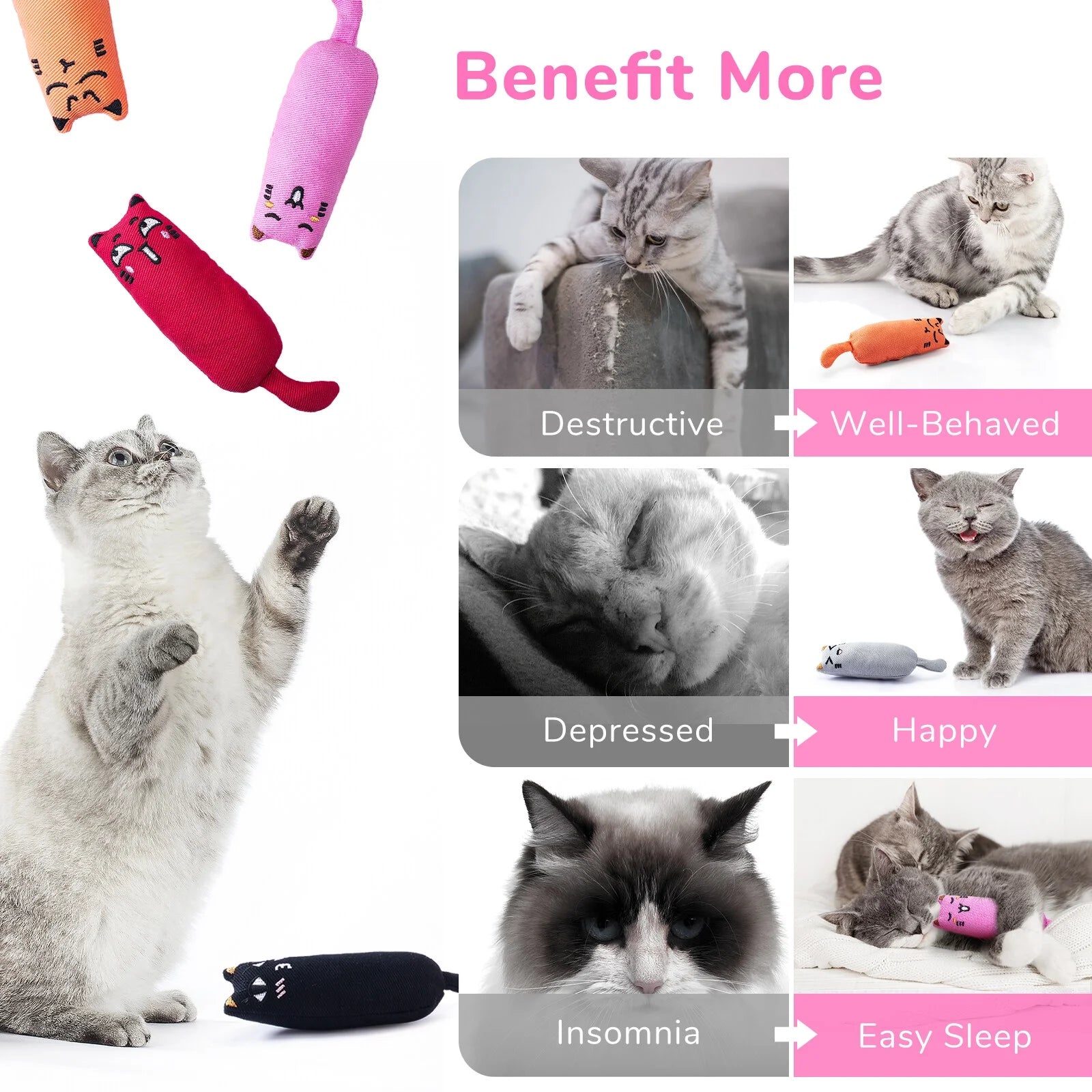 5PC Chew Toys with Catnip 