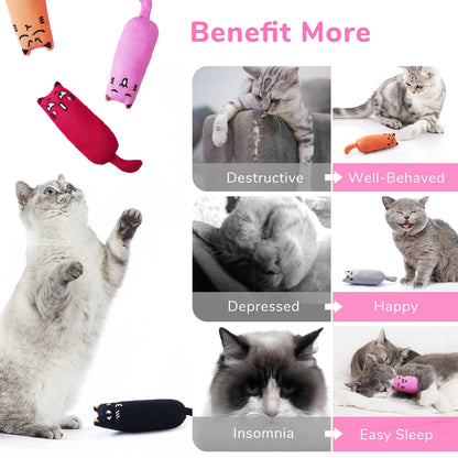 5PC Chew Toys with Catnip 