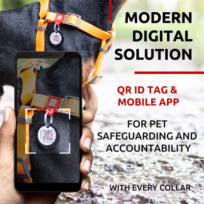Waterproof Adjustable Dog Harness for Large, Medium, and Small Dogs - Heavy Duty with Durable Metal Clasp and QR Dog Tag Orange (16-22in)