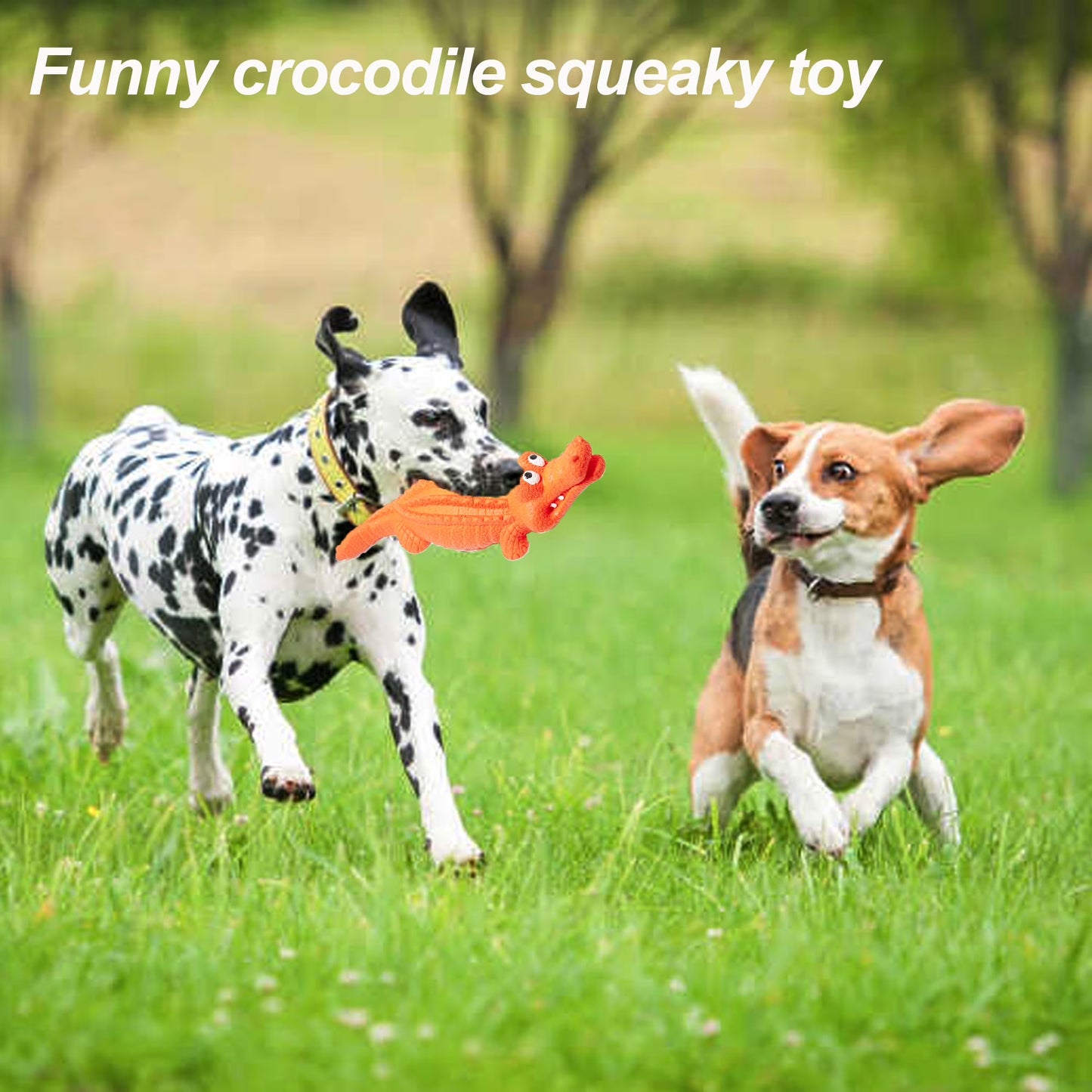 Chew Crocodile Toy - Teeth Cleaning for Medium, Large Dogs
