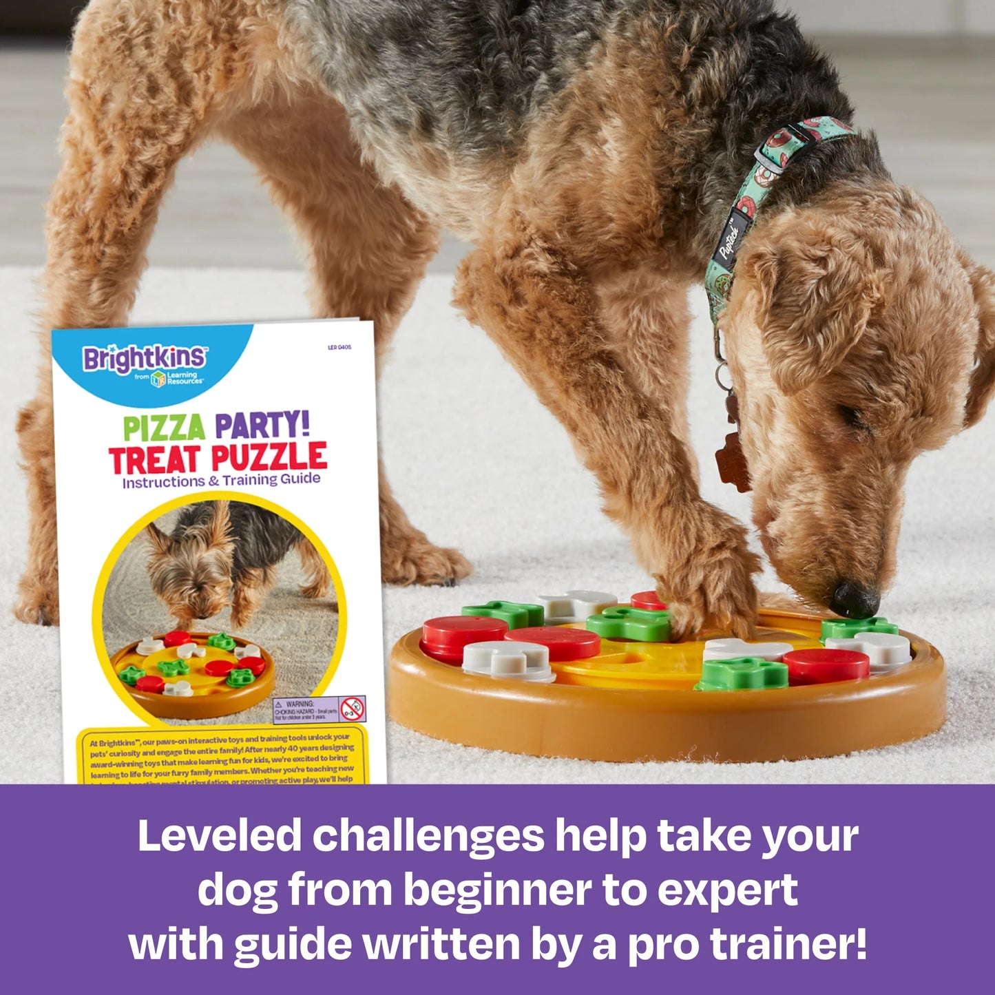 Pizza Party! Dog Toy Treat Puzzle