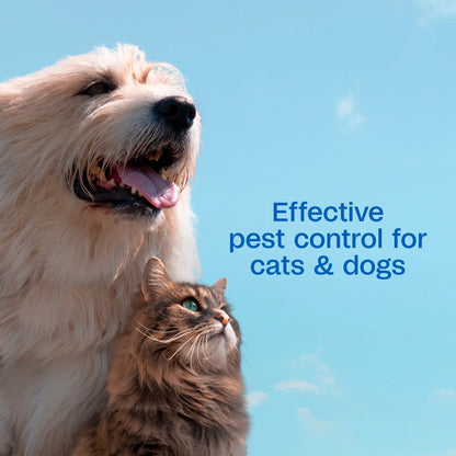 Flea & Tick Cleansing Shampoo for Dogs, Cats, Puppies & Kittens - 12 Fl Oz