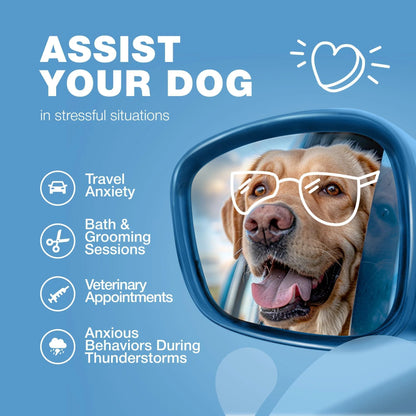 Hemp Calming Chews for Dogs - Anxiety Relief 