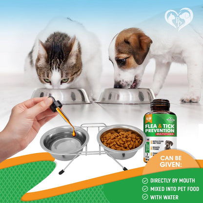Oral Flea & Tick Prevention for Dogs and Cats - Natural Flea Control  & Treatment for Small and Large Dogs 