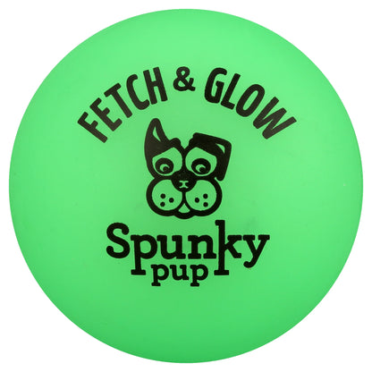 Fetch & Glow Ball Small 2-Pack Dog Toy