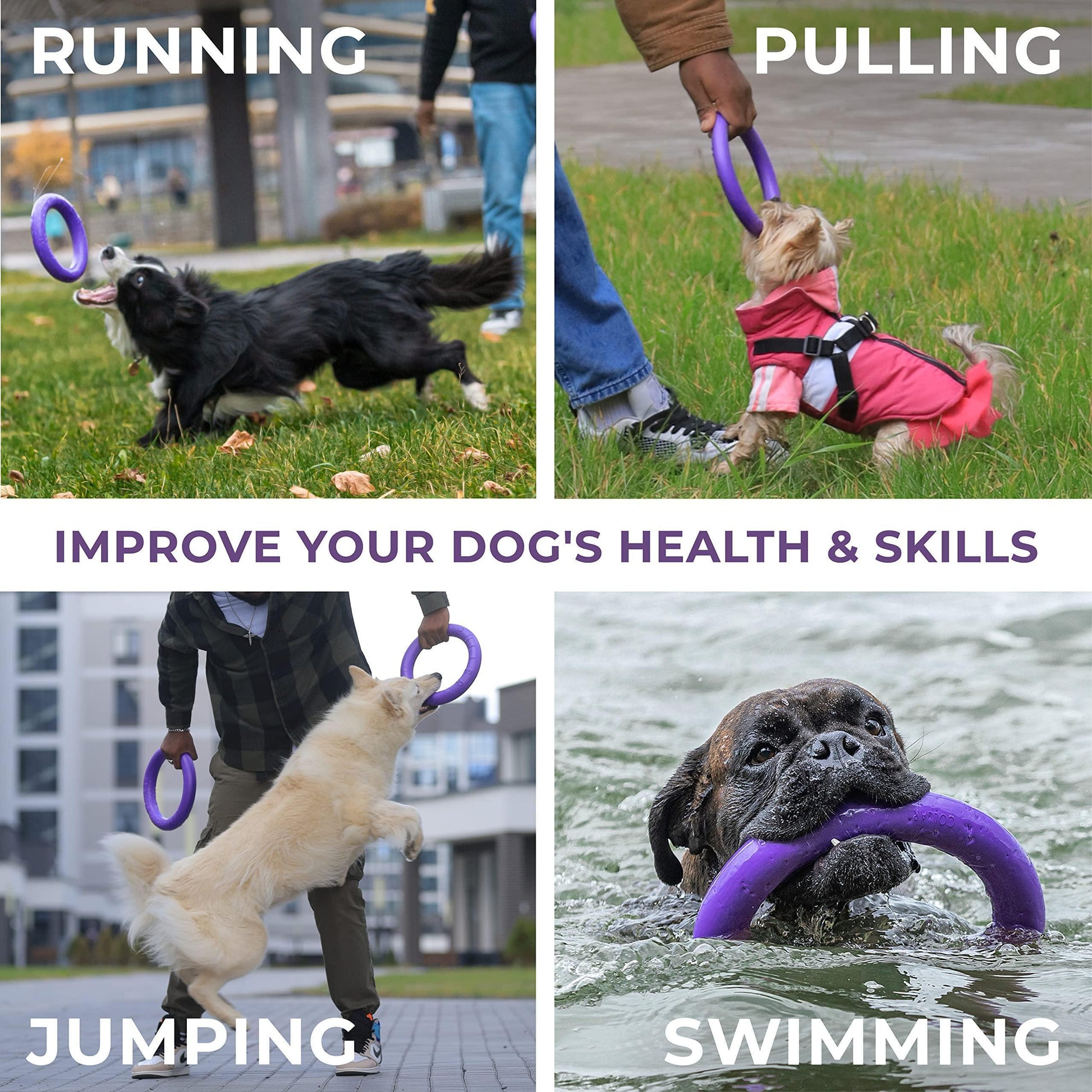 Outdoor Ring Toys - 2 Rings for Small Dogs Purple