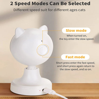 Interactive Laser Cat Toy for Indoor Cats