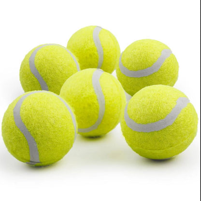 6Pcs Tennis Balls for Puppy to Small Dogs