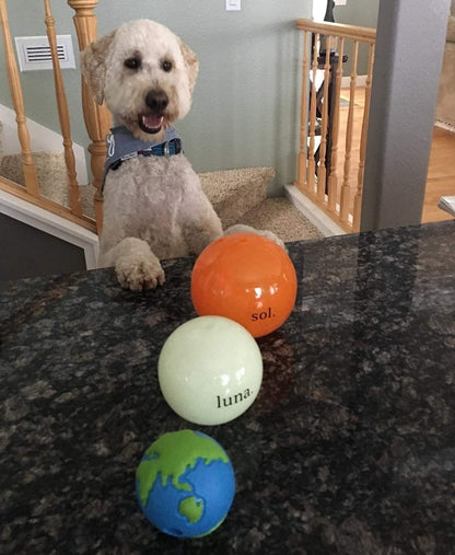 Tuff Planet Ball Treat-Dispensing Dog Toy, Medium