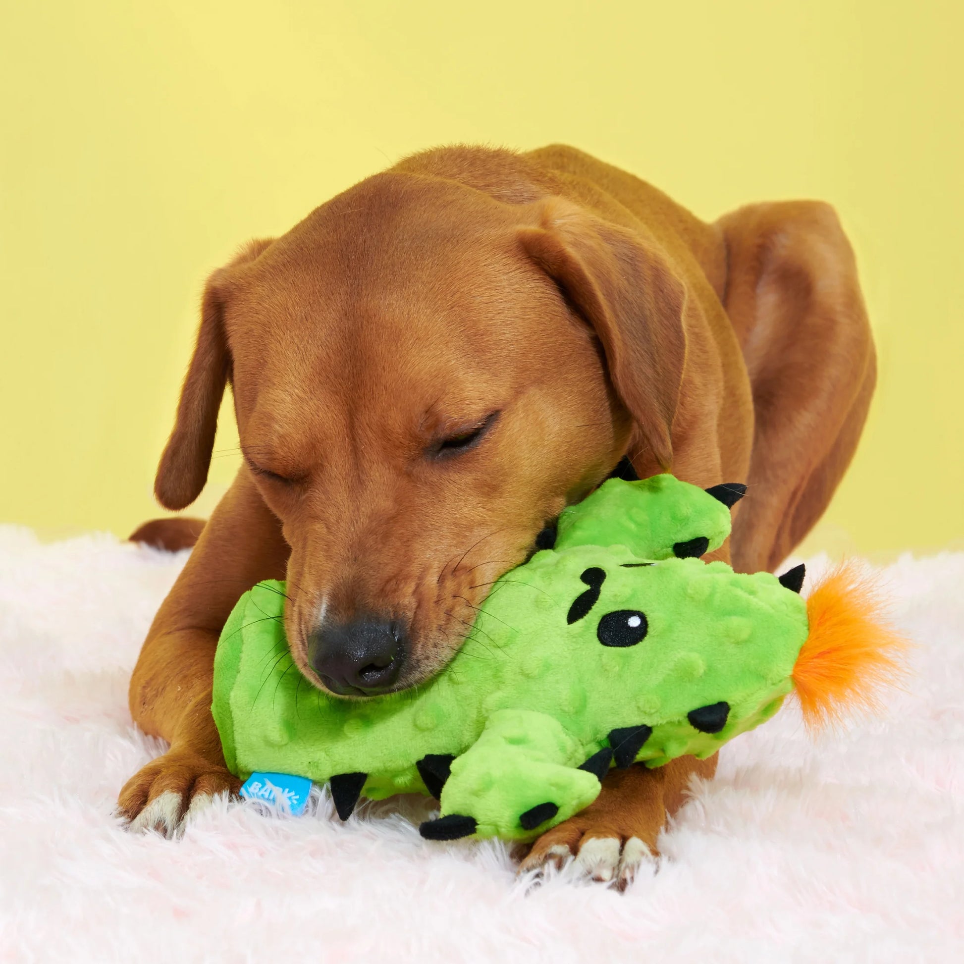 Prickly Pete Dog Toy