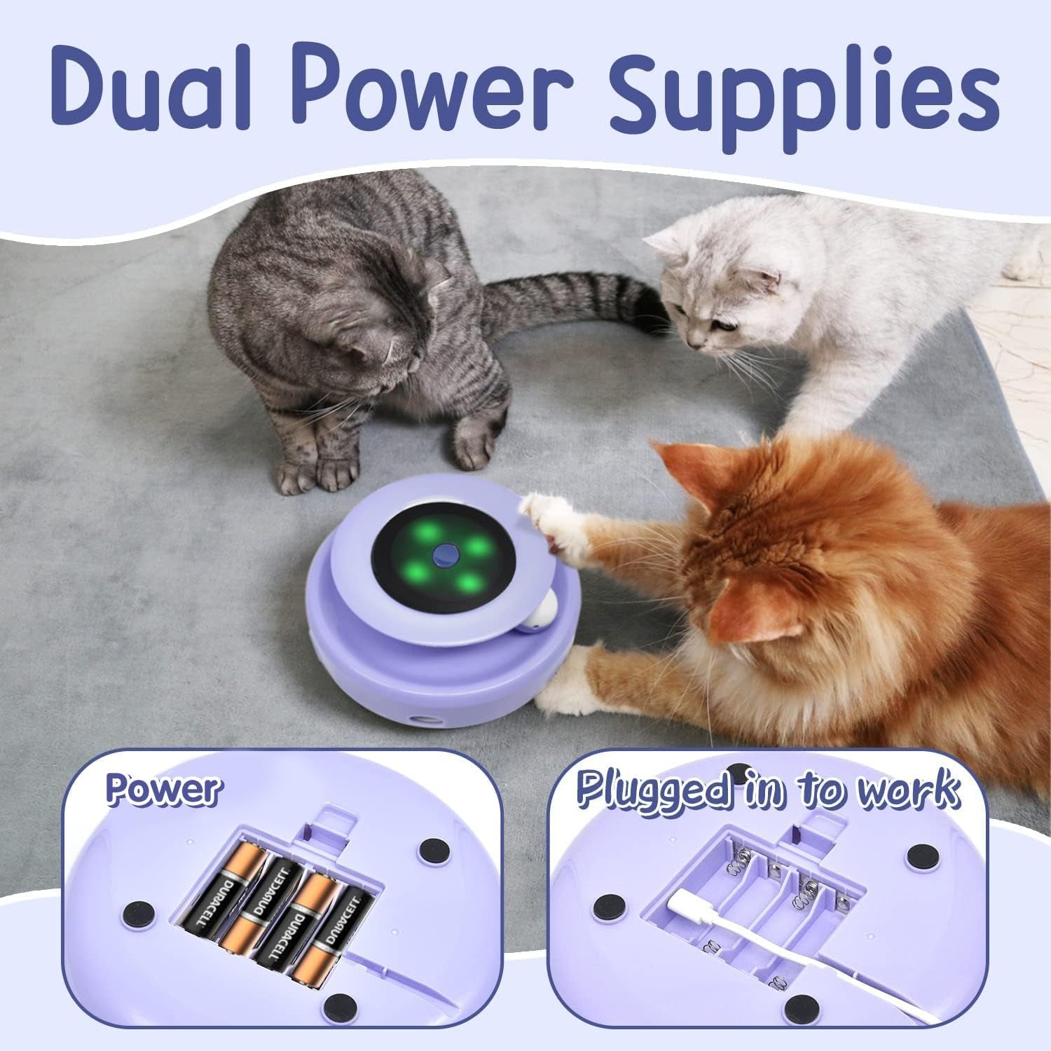 2-In-1 Interactive Cat Toy for Indoor Cats
