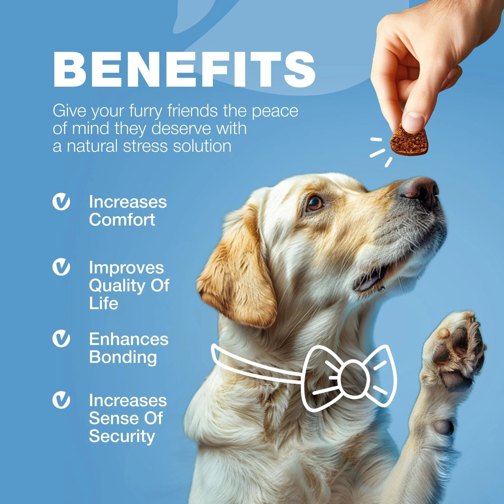 Hemp Calming Chews for Dogs - Anxiety Relief 