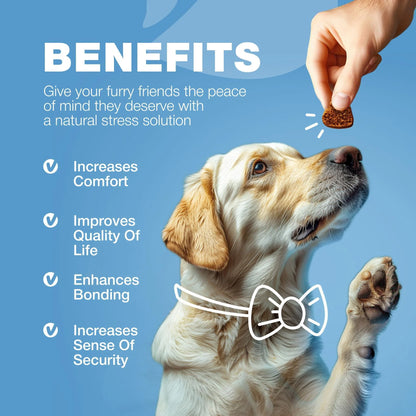 Hemp Calming Chews for Dogs - Anxiety Relief 