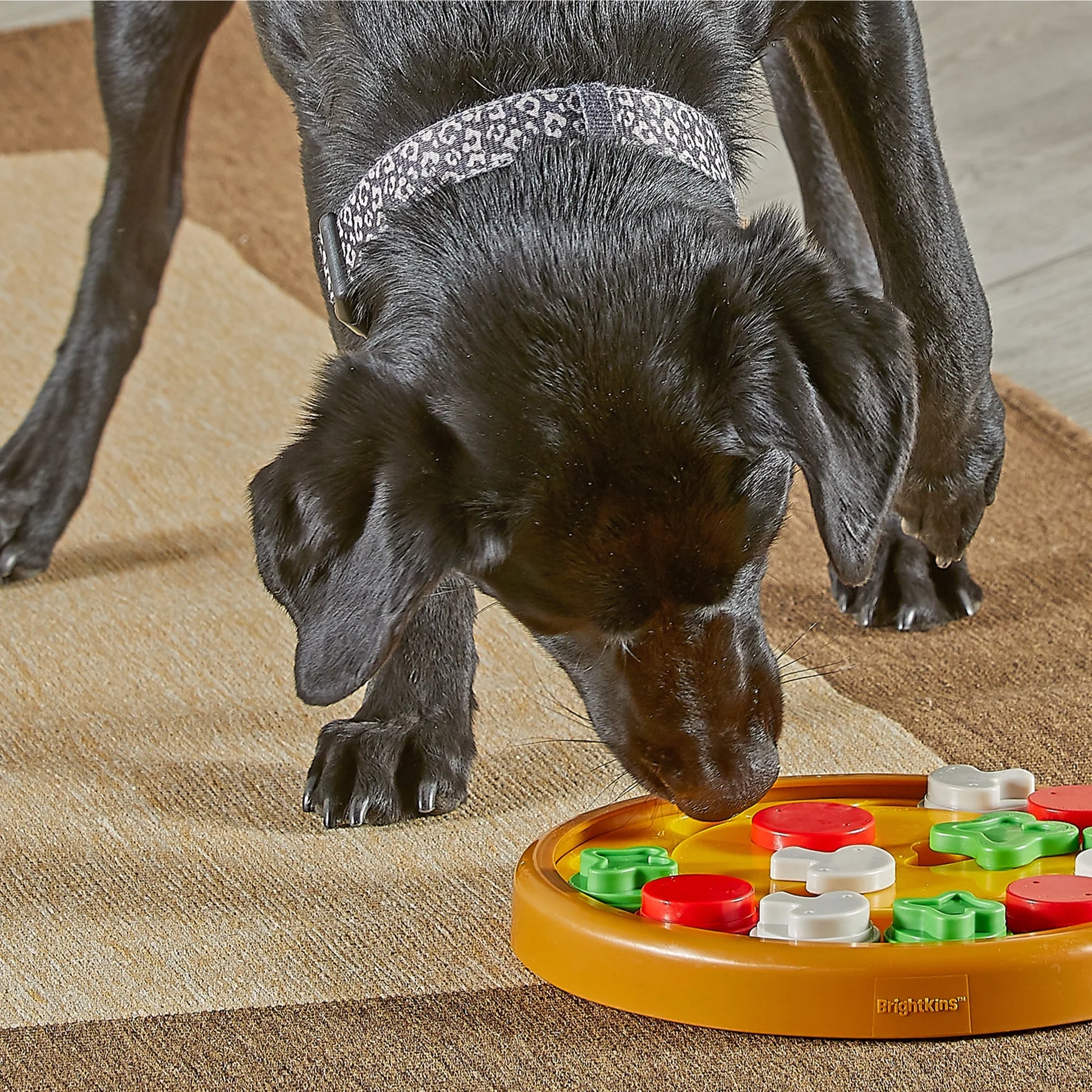 Pizza Party! Dog Toy Treat Puzzle