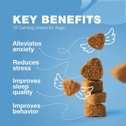 Hemp Calming Chews for Dogs - Anxiety Relief 