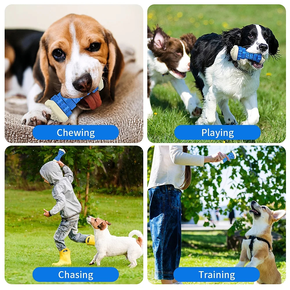 Interactive Dog Enrichment Toy for Aggressive Chewers - Blue