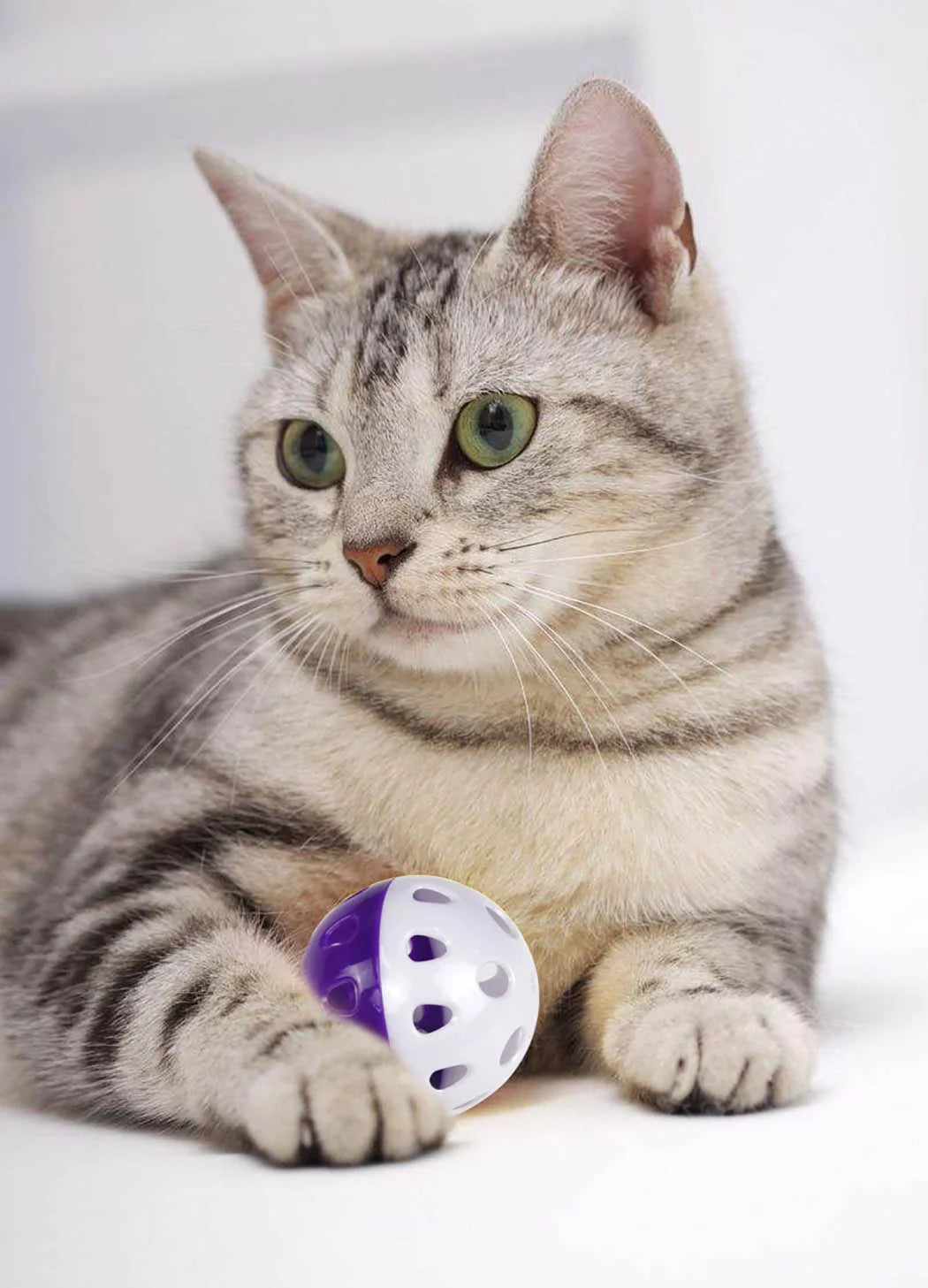 6PCS Cat Toy Bell Ball 