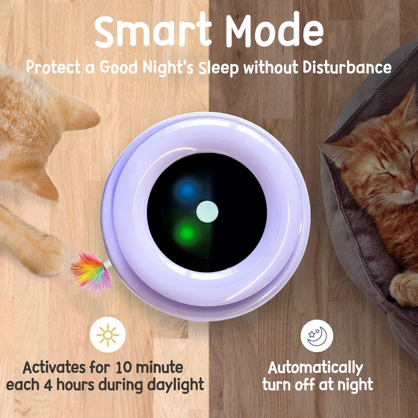 2-In-1 Interactive Cat Toy for Indoor Cats