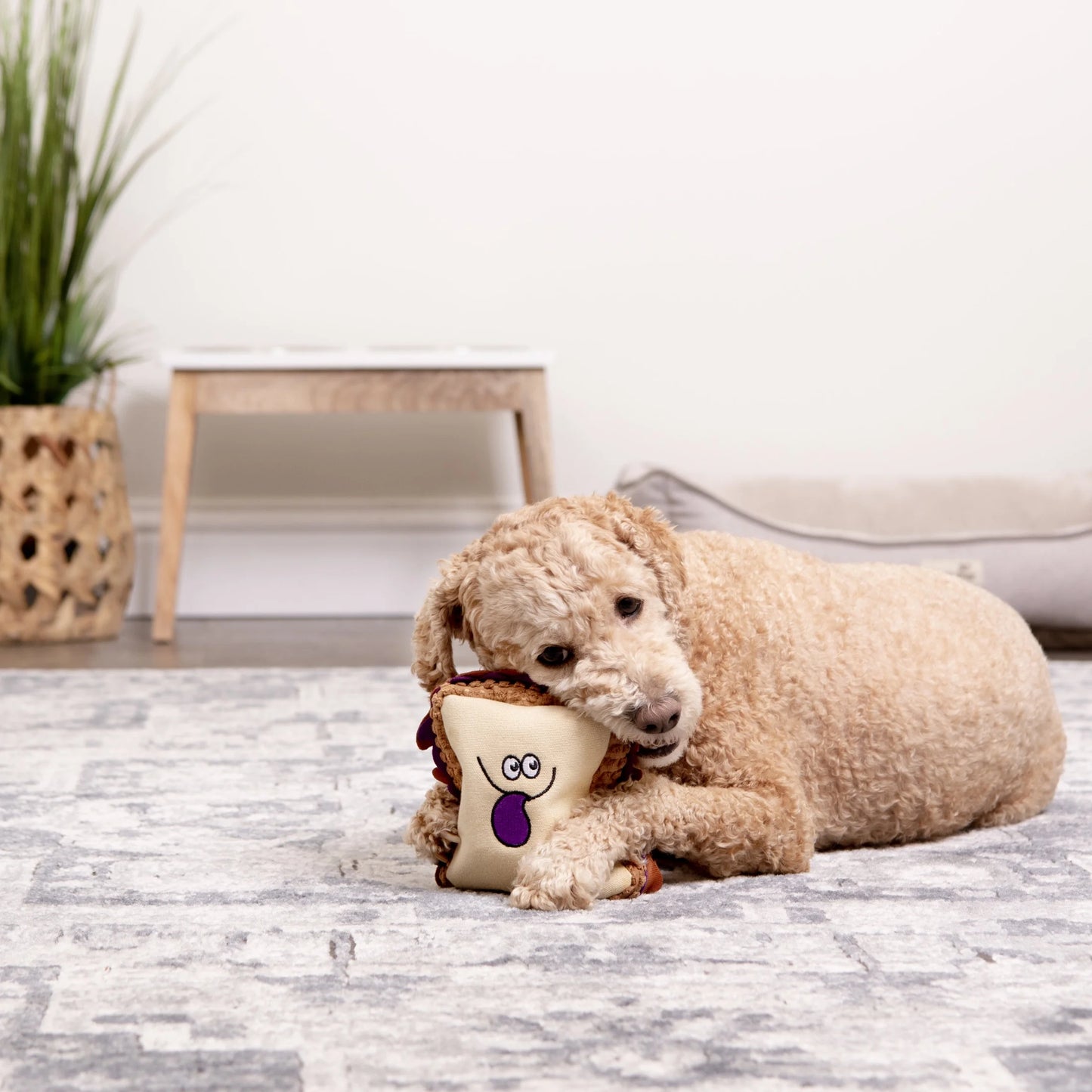 PB&J Squeaky Plush Chew Guard Dog Toy
