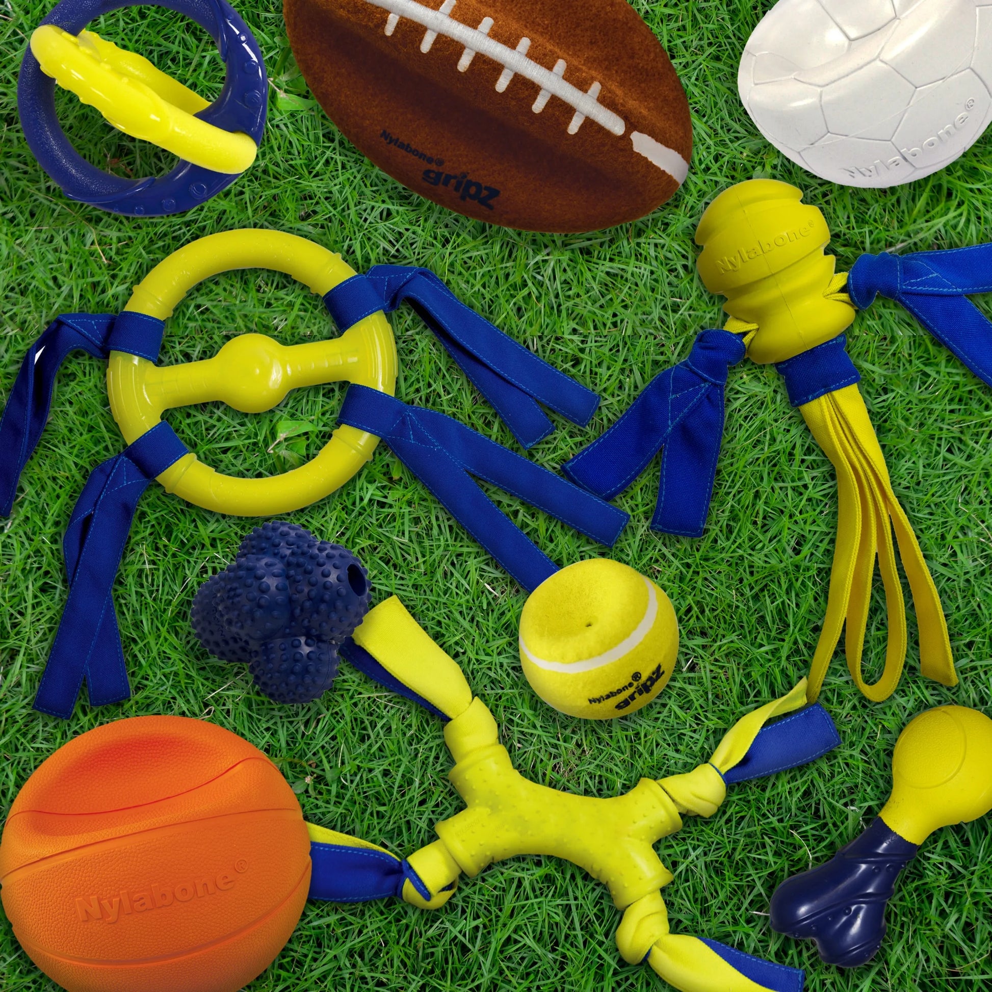 Power Play Crazy-Ball Dog Toy,  Large