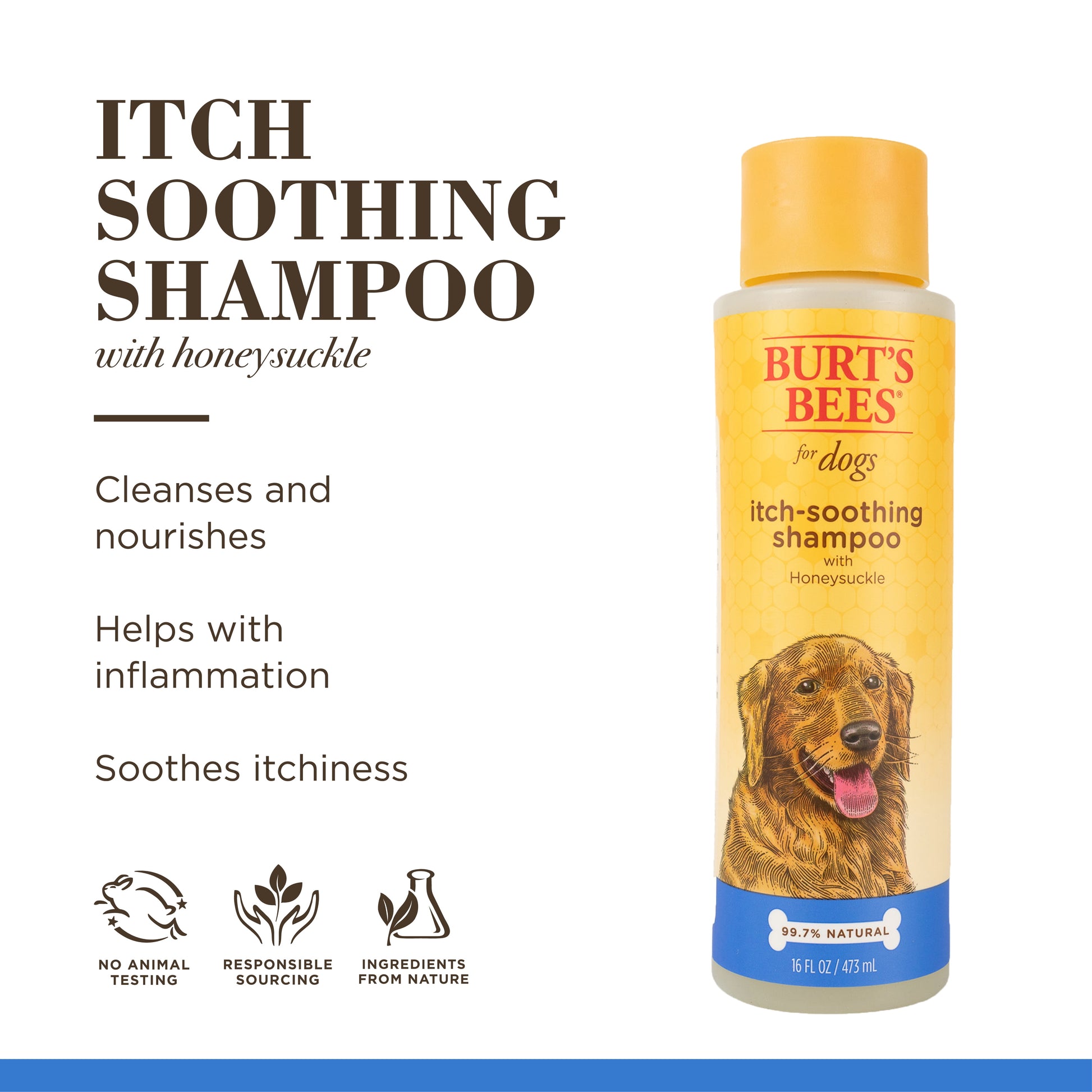 Burt’s Bees Dog Itch Soothing Shampoo, Honeysuckle Scent - 16 Ounces