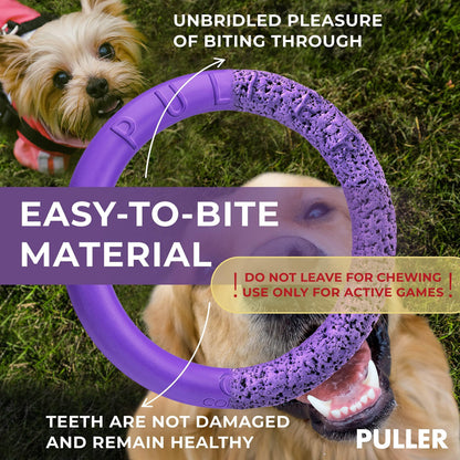 Outdoor Ring Toys - 2 Rings for Small Dogs Purple