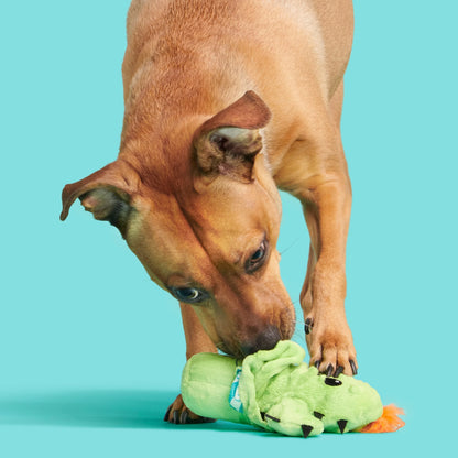 Prickly Pete Dog Toy