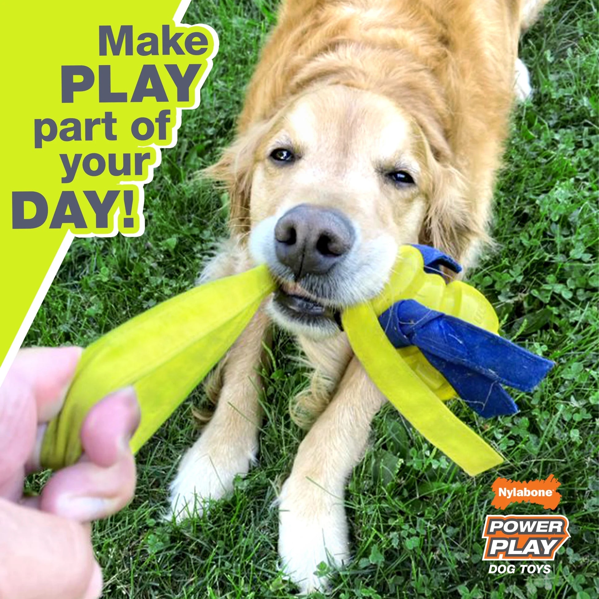 Power Play Crazy-Ball Dog Toy,  Large