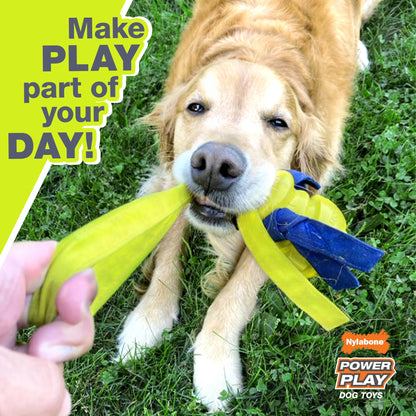 Power Play Crazy-Ball Dog Toy,  Large