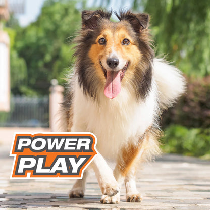 Power Play Crazy-Ball Dog Toy,  Large