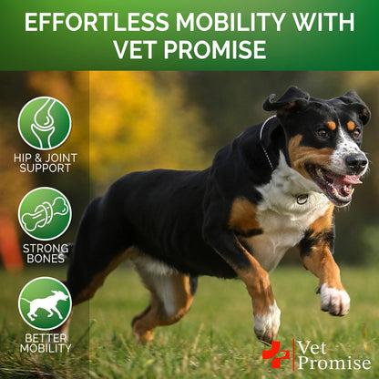 Glucosamine Hip and Joint Supplement for Dogs - 120 Mobility Chews