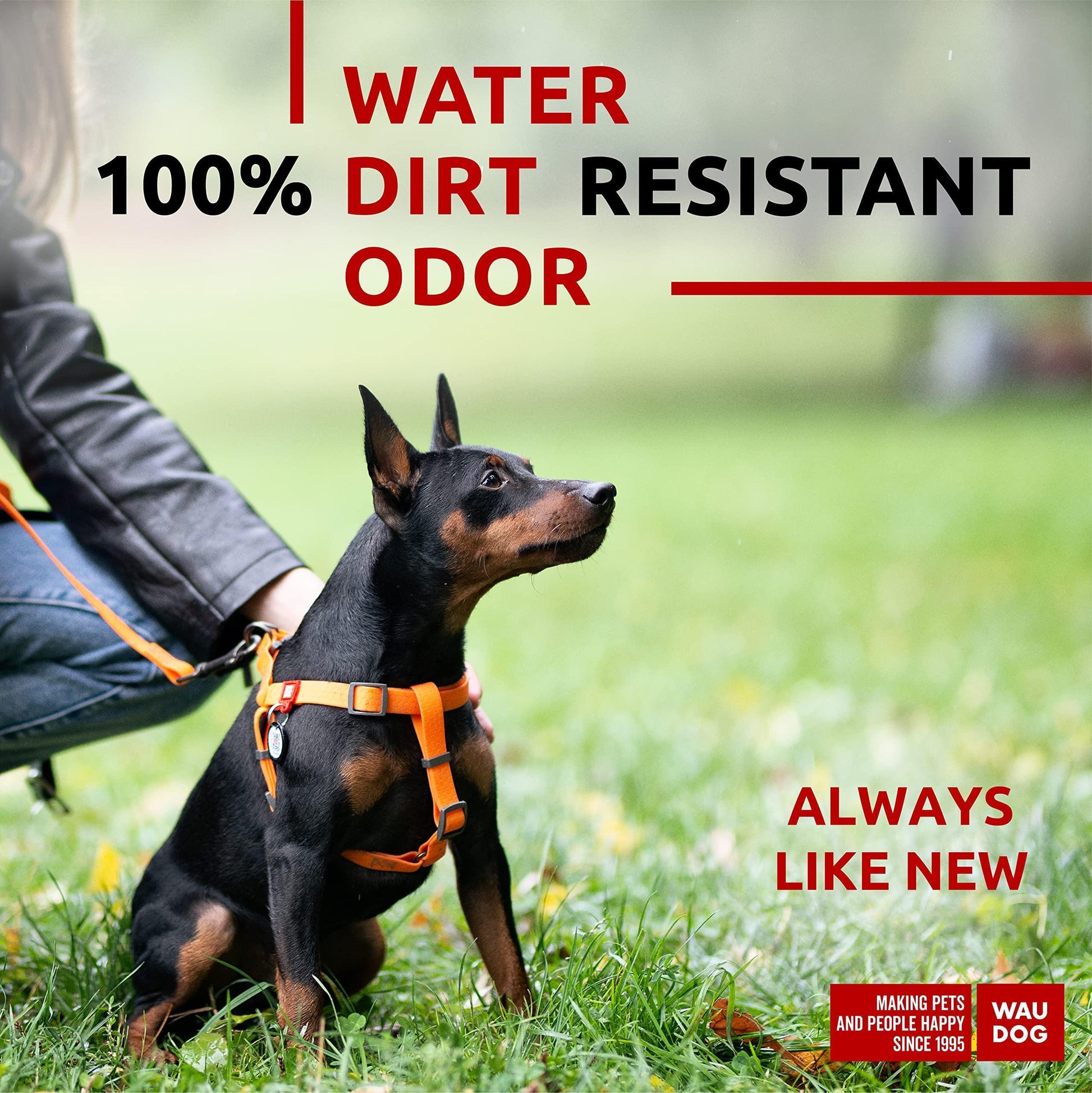 Waterproof Adjustable Dog Harness for Large, Medium, and Small Dogs - Heavy Duty with Durable Metal Clasp and QR Dog Tag Orange (16-22in)