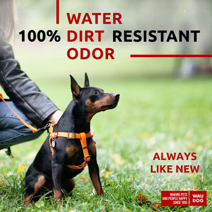 Waterproof Adjustable Dog Harness for Large, Medium, and Small Dogs - Heavy Duty with Durable Metal Clasp and QR Dog Tag Orange (16-22in)