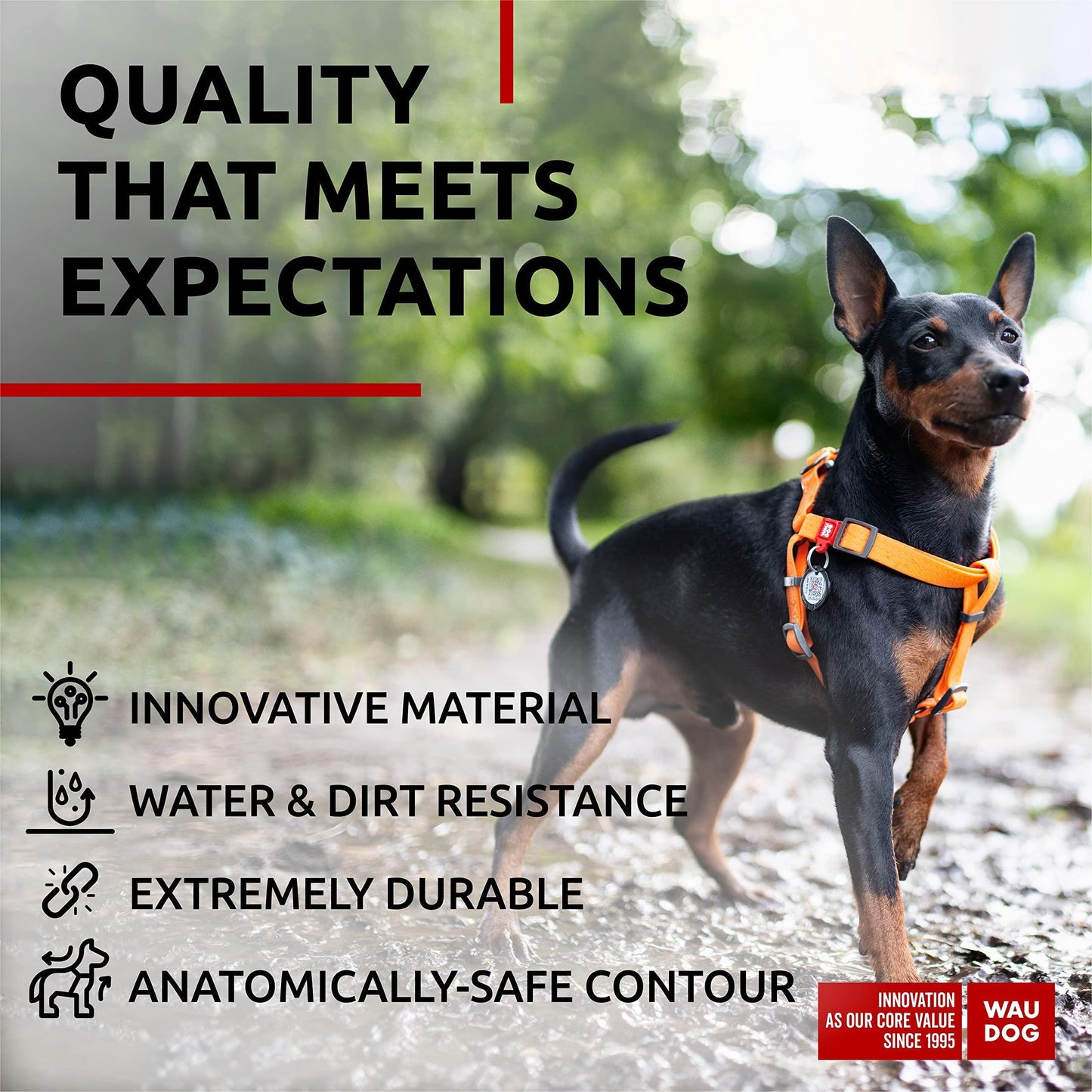Waterproof Adjustable Dog Harness for Large, Medium, and Small Dogs - Heavy Duty with Durable Metal Clasp and QR Dog Tag Orange (16-22in)