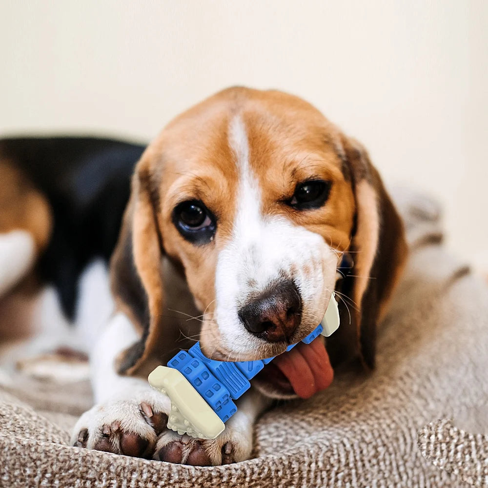 Interactive Dog Enrichment Toy for Aggressive Chewers - Blue