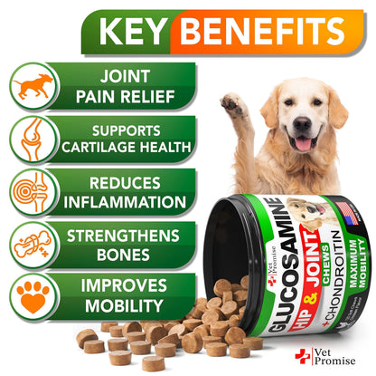 Glucosamine Hip and Joint Supplement for Dogs - 120 Mobility Chews